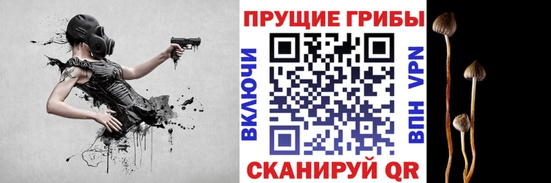 Псилоцибиновые грибы Cubensis  Ясный 